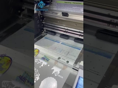 Impresora de Digitaces de la ropa de la protección del medio ambiente de la máquina de la impresión de Dtf del carril de Japón Thk