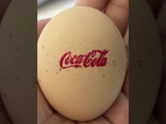 Impresora ULTRAVIOLETA Maximum Width del milímetro DTF de la altura 1062 620 milímetros de tinta Jet Printer de Digitaces